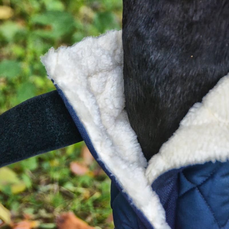 Bio-boots Lovehorses therapy wrap Bio Ceramica 45x38 cm - 1566