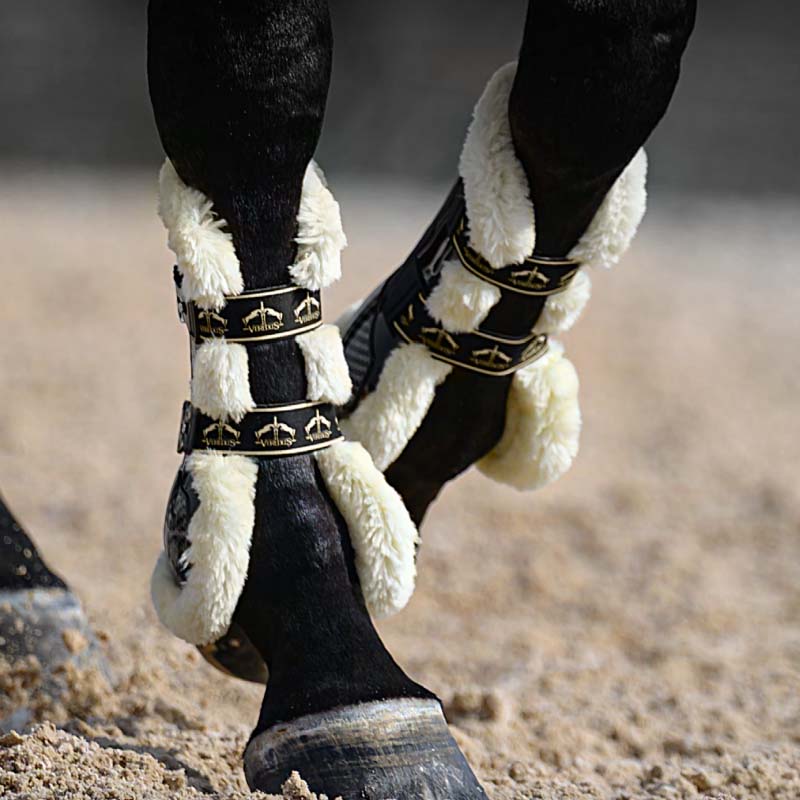 Veredus Carbon Gel Absolute “Save the Sheep” Front Tendon boots - jumping protections - 1625