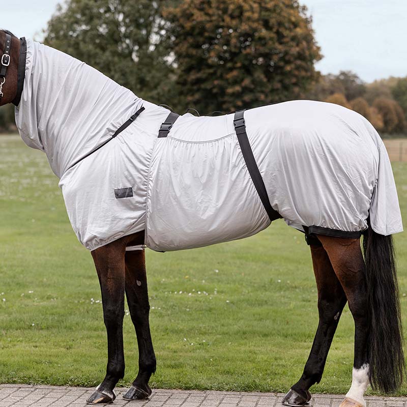 Horse fly rug against sweet itch/eczema basic with belly protection 