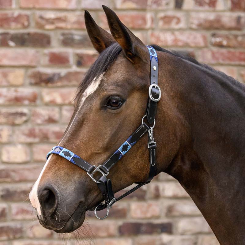 Chukka style halter in leather - 0351