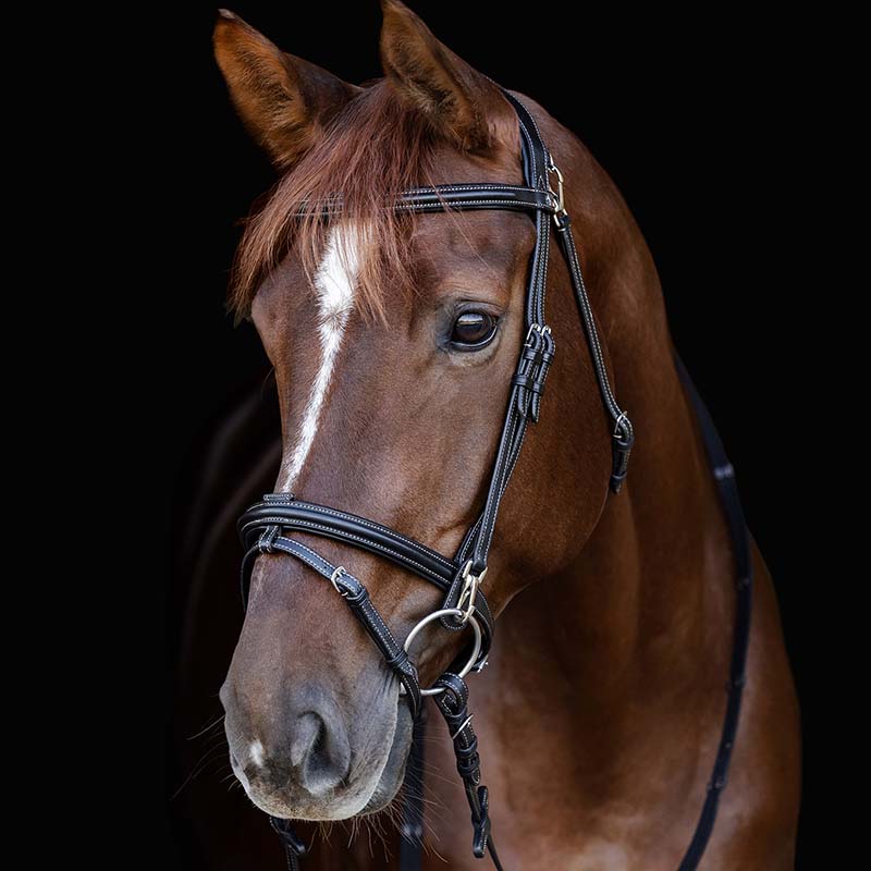 Waldhausen Work X-Line bridle - 2333