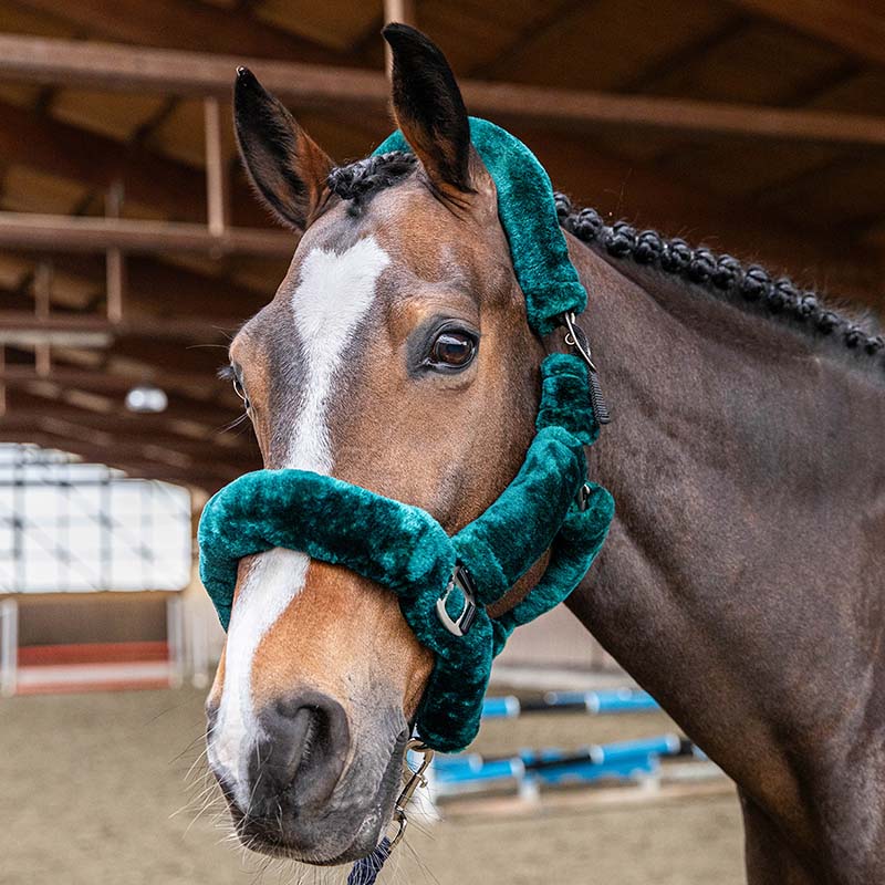 Soft Horse Halter with Synthetic Sheepskin covering - 0314