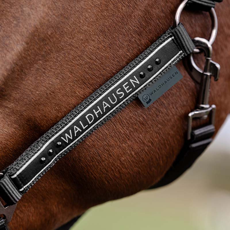 Elegant soft halter with glitter satin buckler - 0348