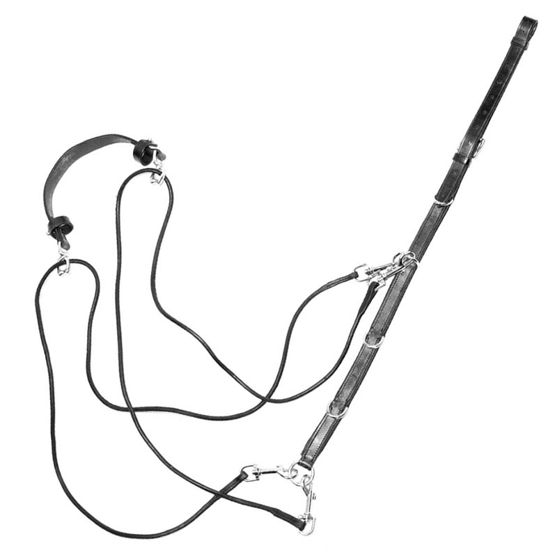 Leather gogue with pulleys and leather cheek pieces - 2693