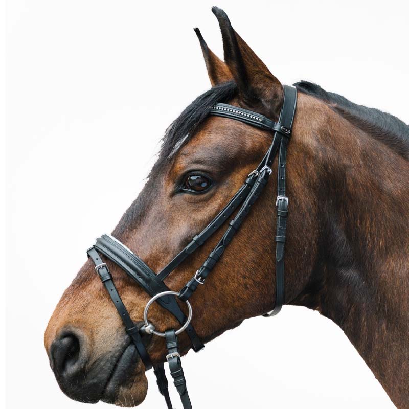 English bridle star diamond with rhinestone various color - 2330