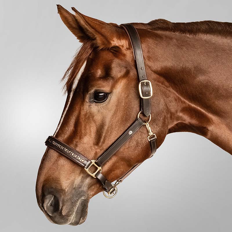 Leather halter model Crystal - 0340