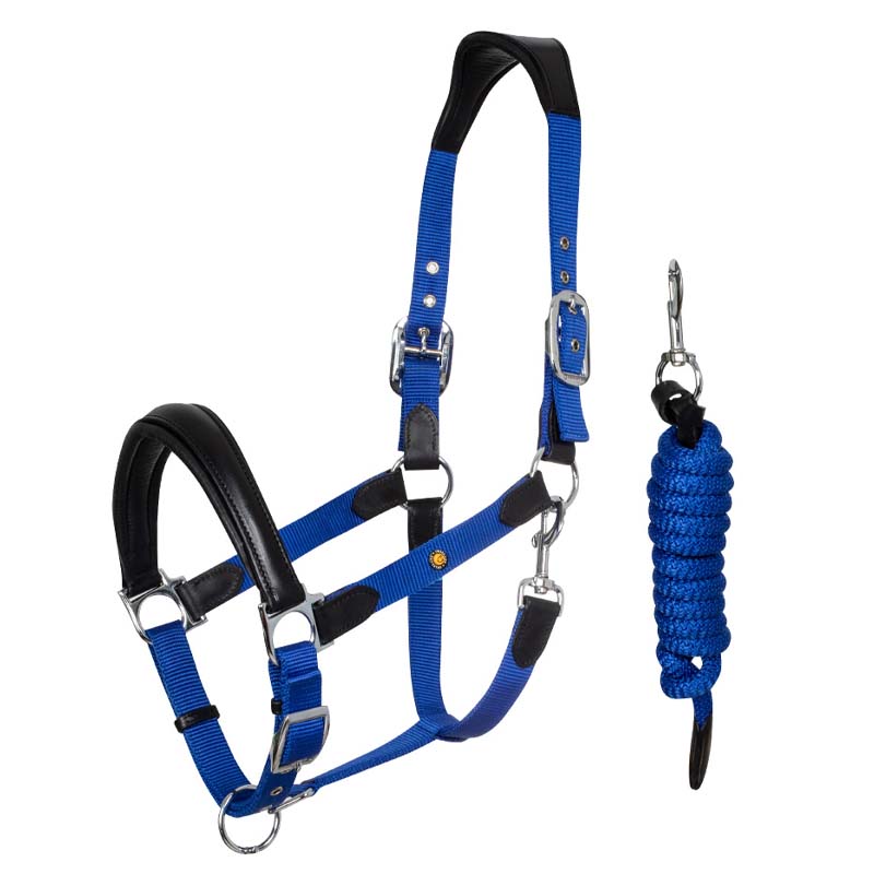 Equestro halter with leather inserts model Lani