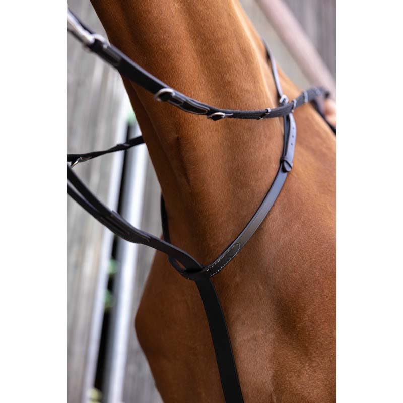 Thiedemann leather reins with rings and snap - 0895