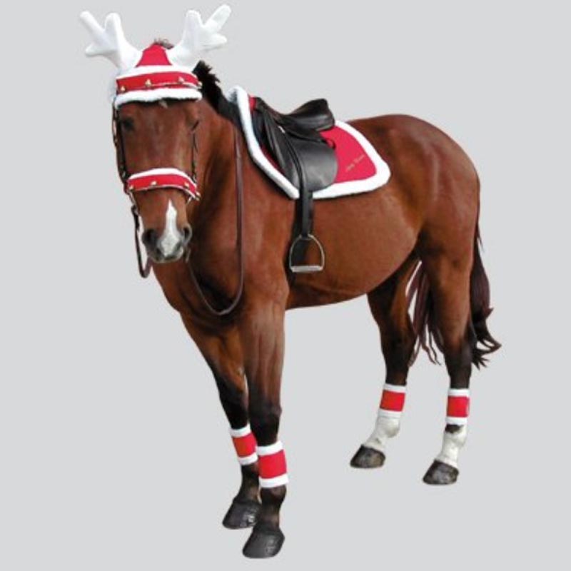 Set 4 cover bandages for Christmas velcro closure - 9309