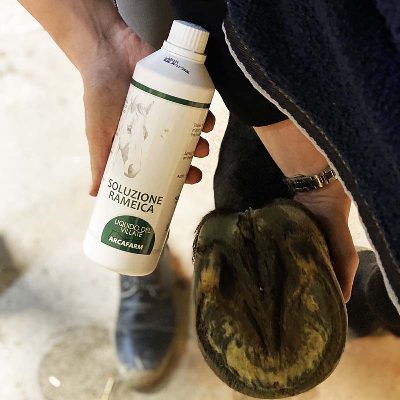 Hoof antibacterial action Arcafarm SOLUZIONE RAMEICA - 0833