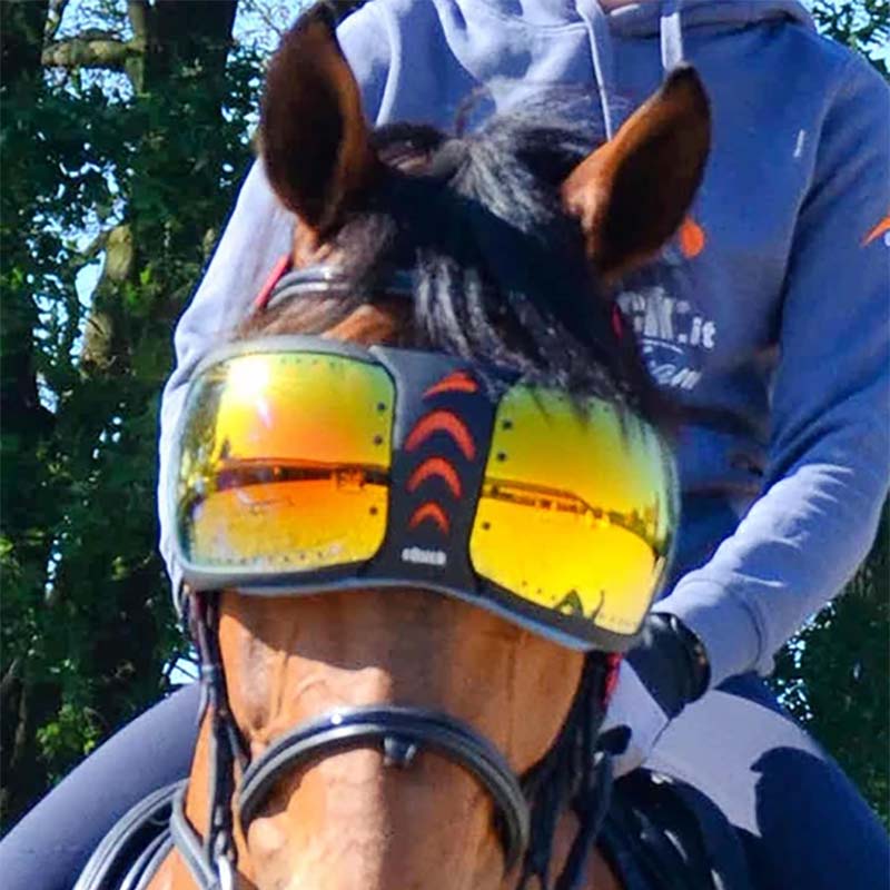 eQuick evysor mirrored eye protection for horses - 1637