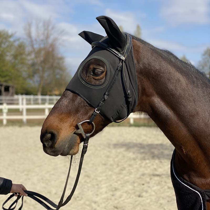 Bio Titanium therapeutic mask for horses - 0627