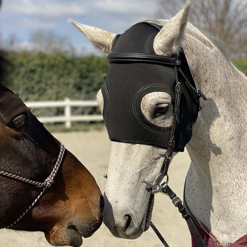 Bio Titanium therapeutic mask for horses without ear protection - 0628