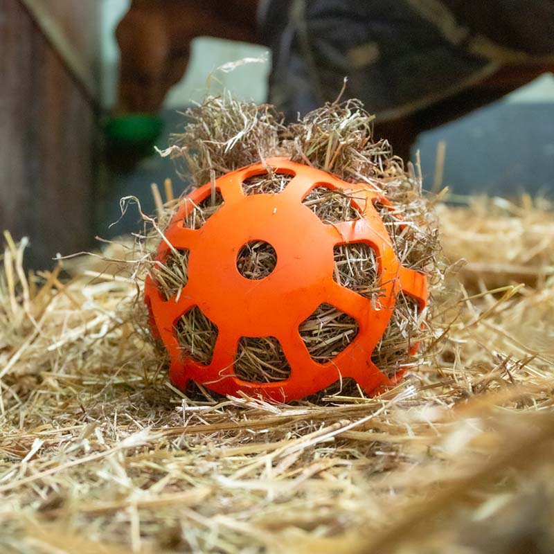 Container ball for hay - 7609