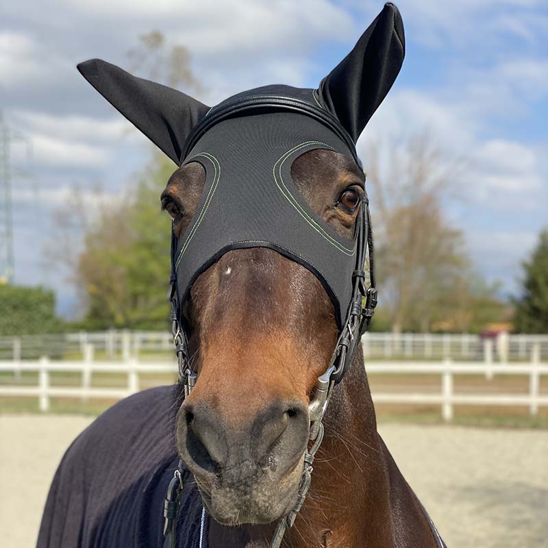 Bio Titanium therapeutic mask for horses - 0627