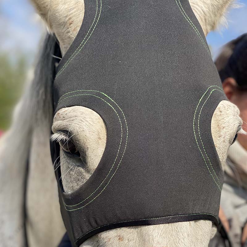 Bio Titanium therapeutic mask for horses without ear protection - 0628