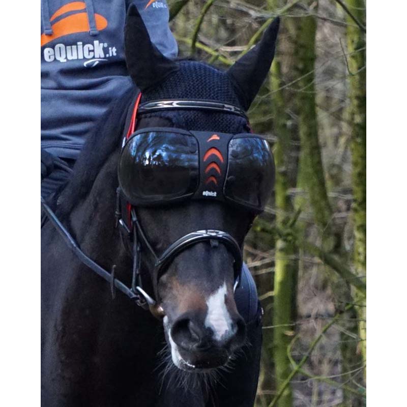 eQUICK eVYSOR EYE PROTECTION FOR HORSES MySelleria