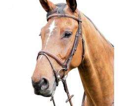 PRESTIGE LEATHER BRIDLE WITH INSERTS E87 - 2381