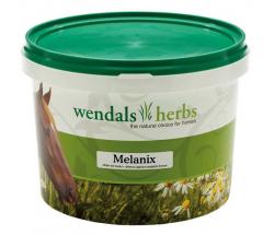 MELANIX WENDALS HERBS FOR THE SKIN OF YOUR HORSE - 1081