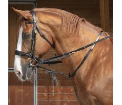 THIEDEMANN LEATHER REINS WITH RINGS AND SNAP - 0895