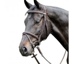 RAISED LEATHER BRIDLE BY PRESTIGE WITH FANCY STITCHING E37 - 2318