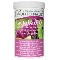 LACTOBAC EQ OFFICINALIS HELPS DIGESTION AND FIGHTS BLOATING