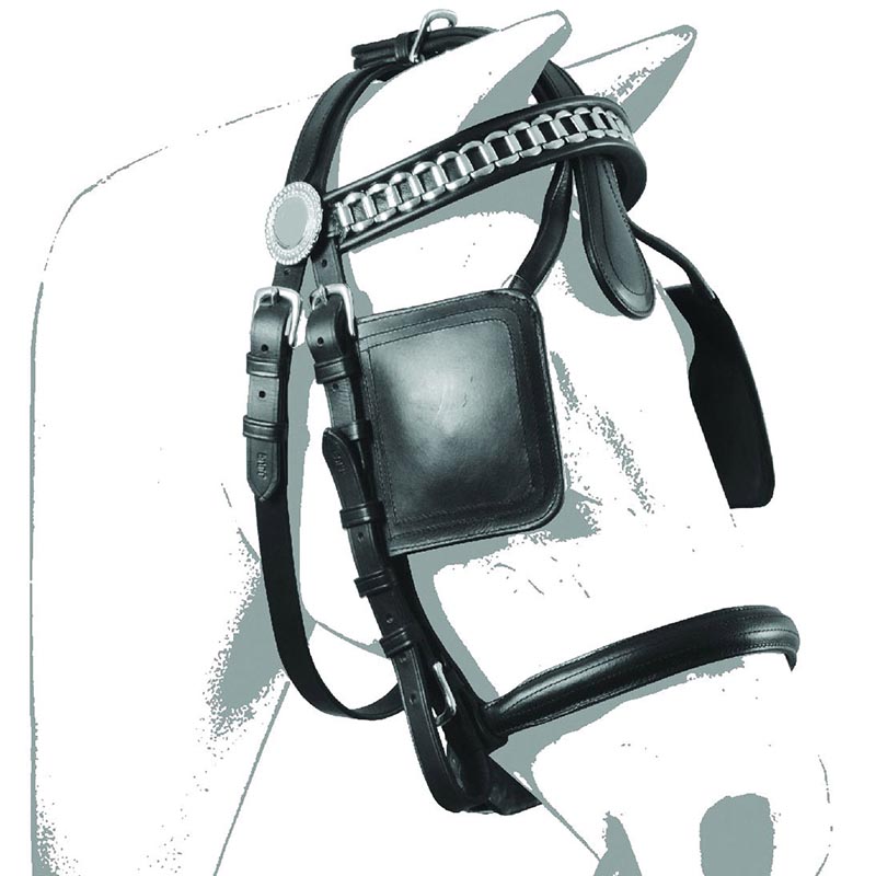 Headstall Gold for harness carriage