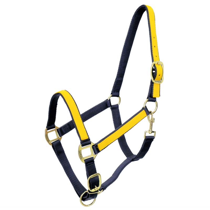 Synthetic Halter with Two-Tone inserts