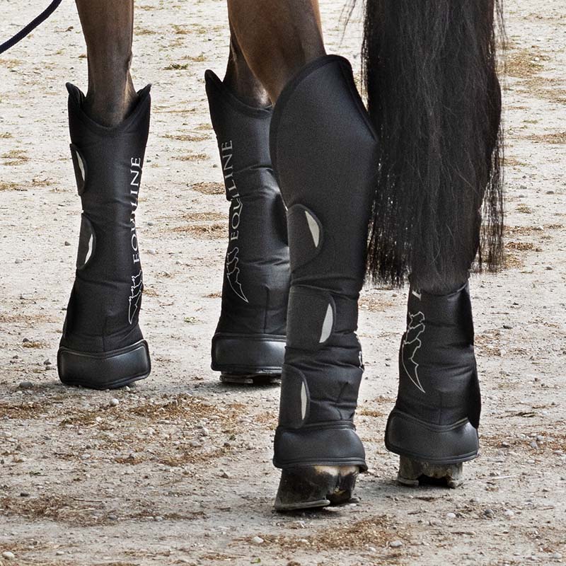 Travel boots Equiline Rex 4 pieces - 1567