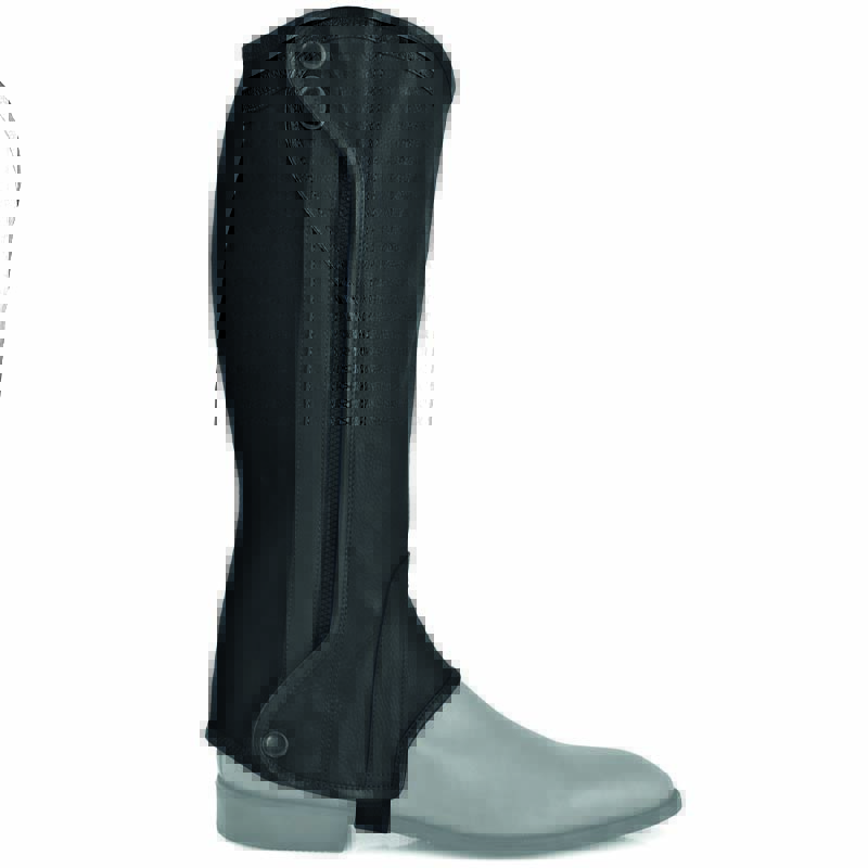 Equestro Chester half-chaps in leather - 3565