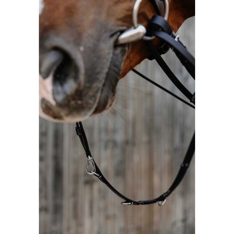 Thiedemann leather reins with rings and snap - 0895