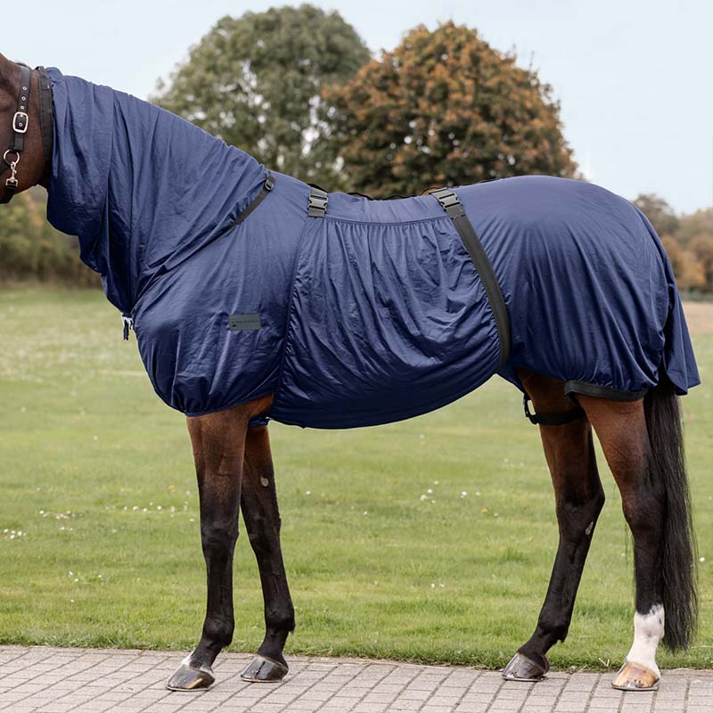 Horse Fly Rug against Sweet Itch/Eczema BASIC with belly protection  - 0275