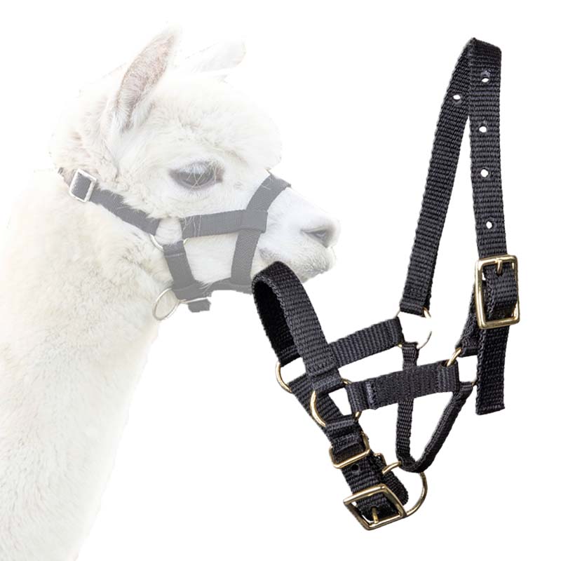 Synthetic Halter for Llamas and Alpacas - 0299