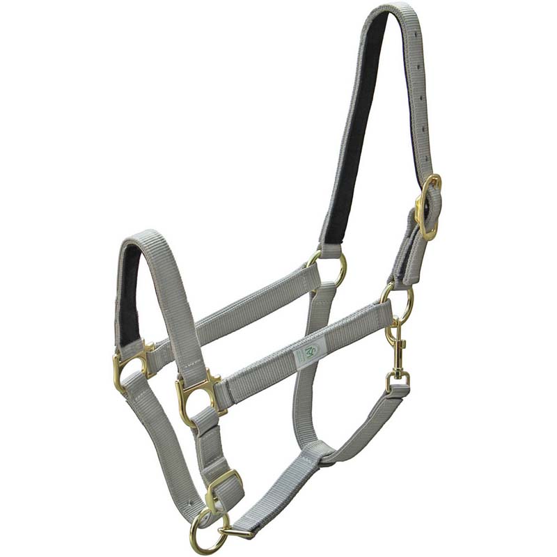Premium Synthetic Horse Halter with leather lining