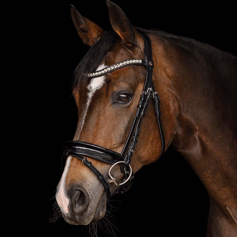 Anatomical English Bridle Waldhausen X-Line Evermore with Crystals - 2326