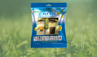 New Ecological Fly Catcher!

