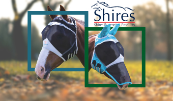 Shires Masks: the best protections!
