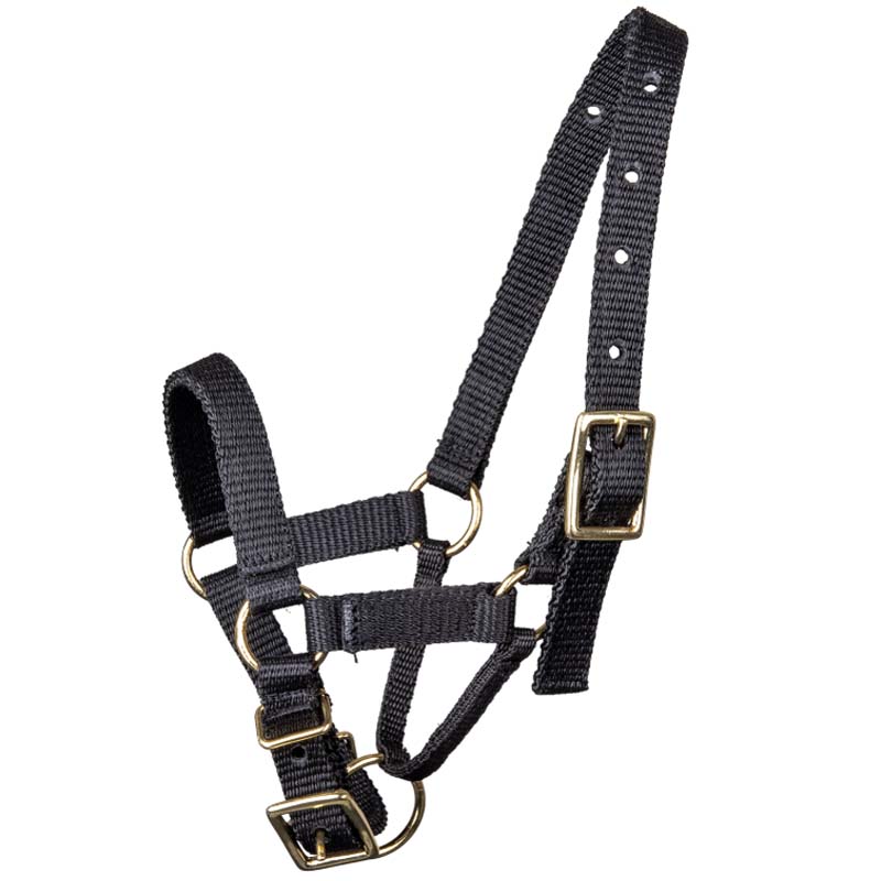 Synthetic Halter for Llamas and Alpacas - 0299