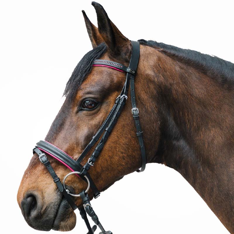 English bridle star diamond with rhinestone various color - 2330